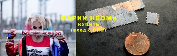 СК Горняк